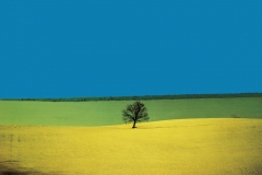 franco-fontana